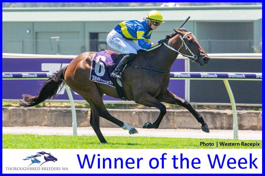 Hot And High – TBWA Winner of the Week