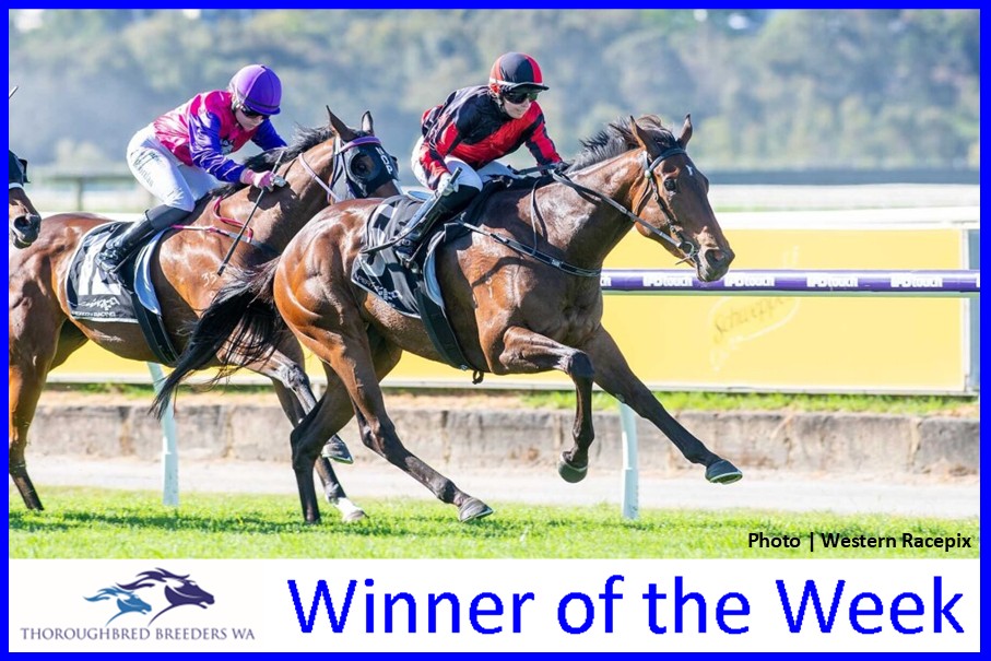 Impressive Jewel –  TBWA Winner of the Week