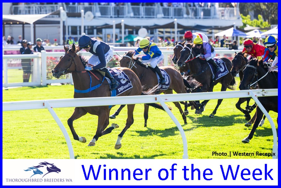 Luana Miss – TBWA Winner of the Week