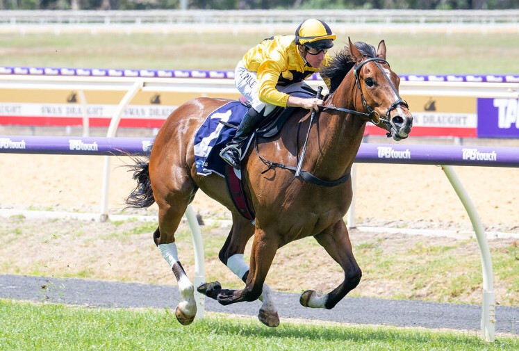 Oakland Park Acorn bolts in at Bunbury