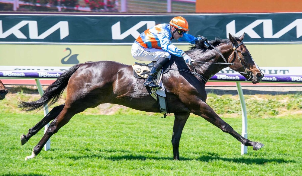 All American winner All Heart