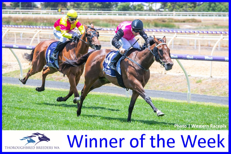 Arpione – TBWA Winner of the Week