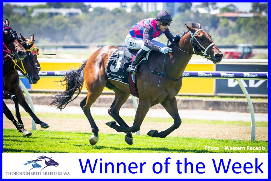 Refemme No Angel – TBWA Winner of the Week