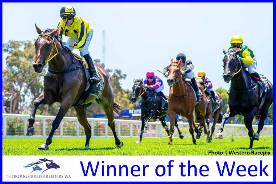 The Nun – TBWA Winner of the Week