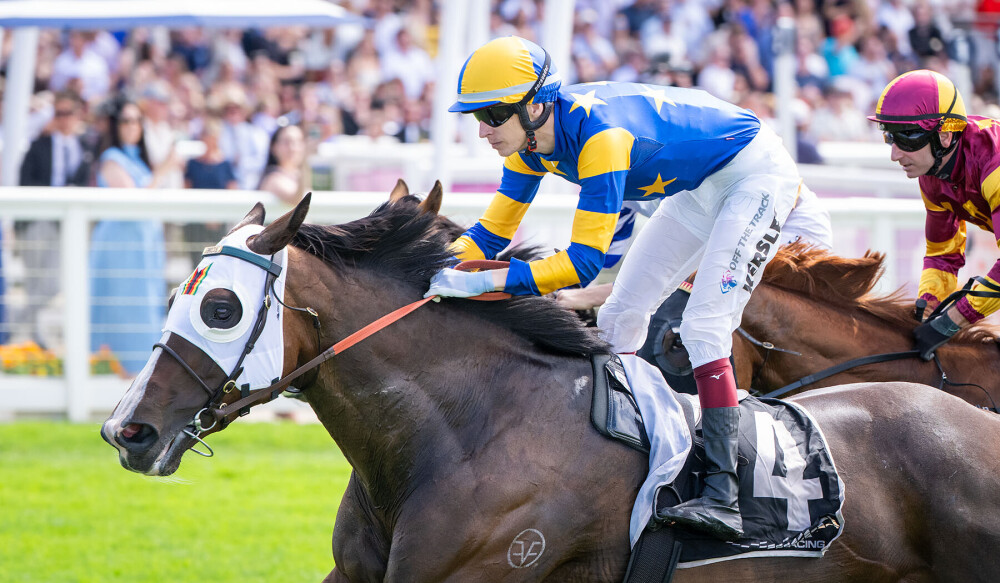 Forest View homebred mare a Belta