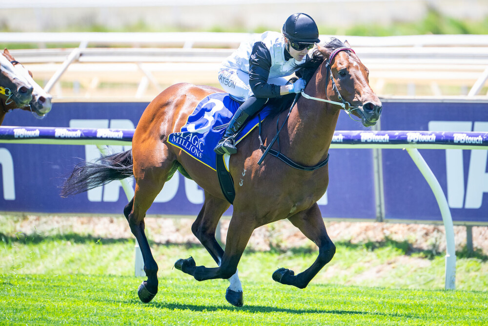 Boy Crush breakout for Manhattan Rain