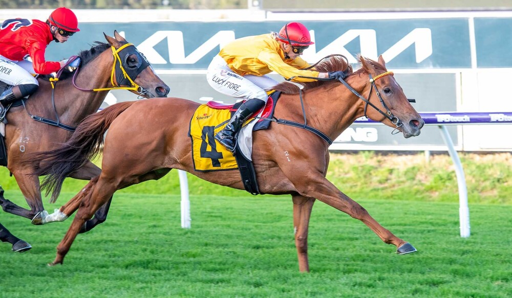 Patience pays with Cashel Palace