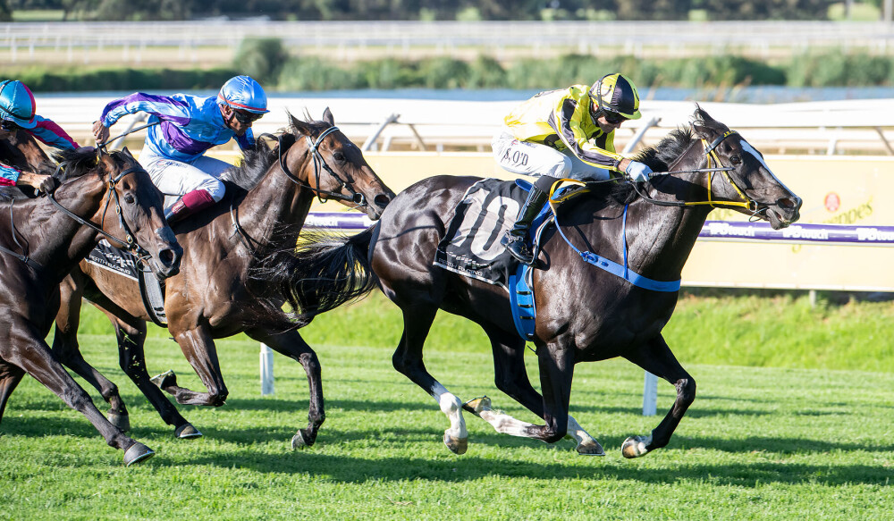 Scenic Blast win boosts residuals for Jaz Session