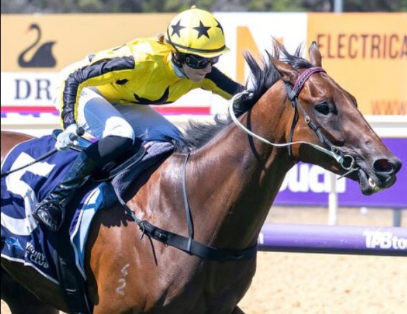 Nottle full throttle with Rommel