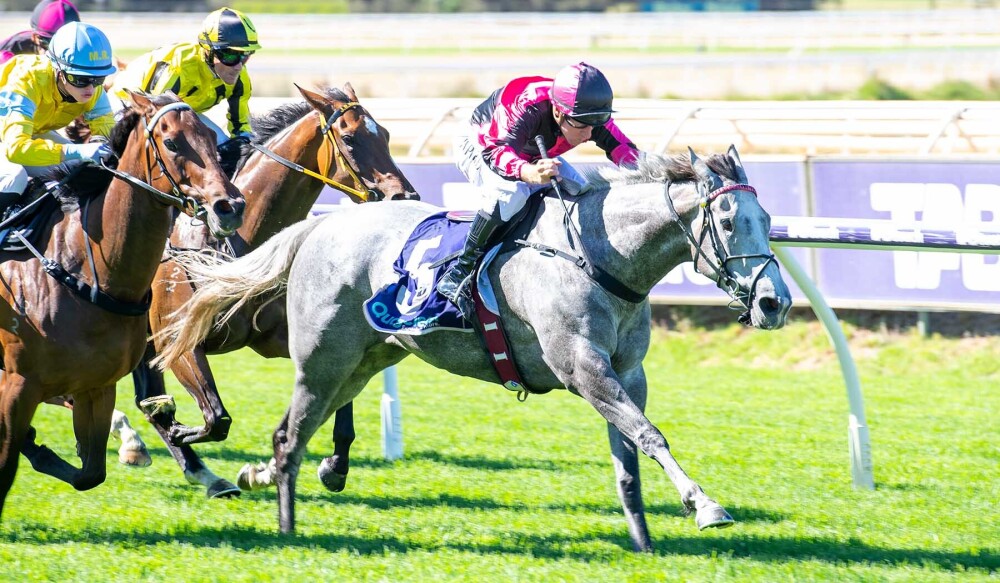 Winning formula for Namerik at Ascot