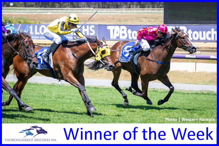 She’s Hot – TBWA Winner of the Week