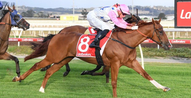 Boy equal to a Man’s errand from Greenfields