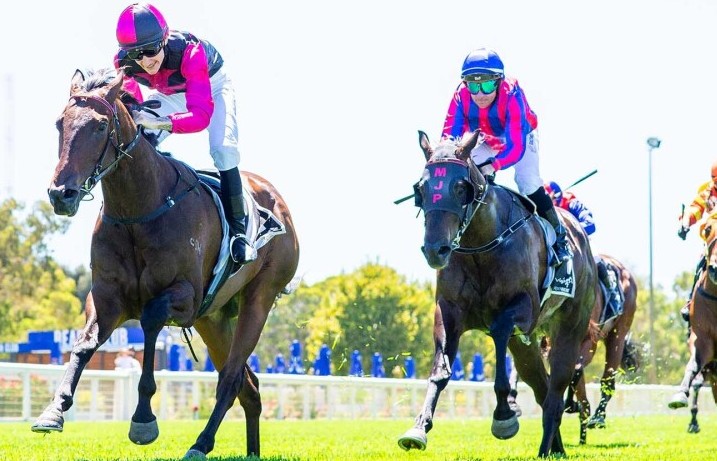 Saturday horse puts Writing on the Wall