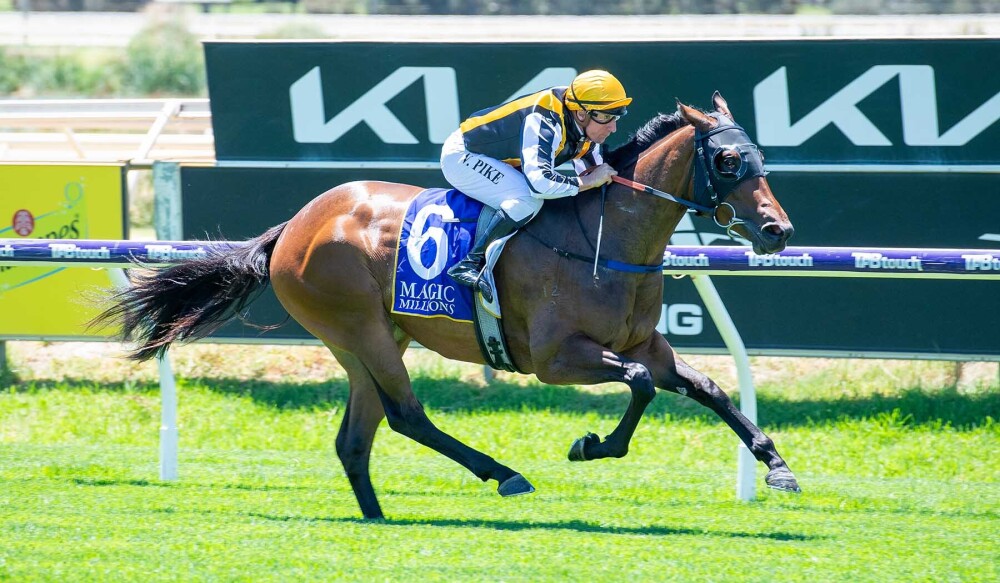 MM Sale: Classic Signal from Scenic Lodge