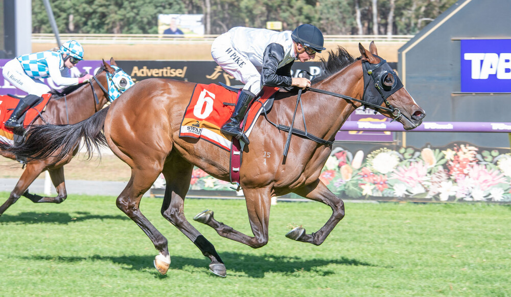 Pearce Racing & Lindsay Park target Aysar at MM