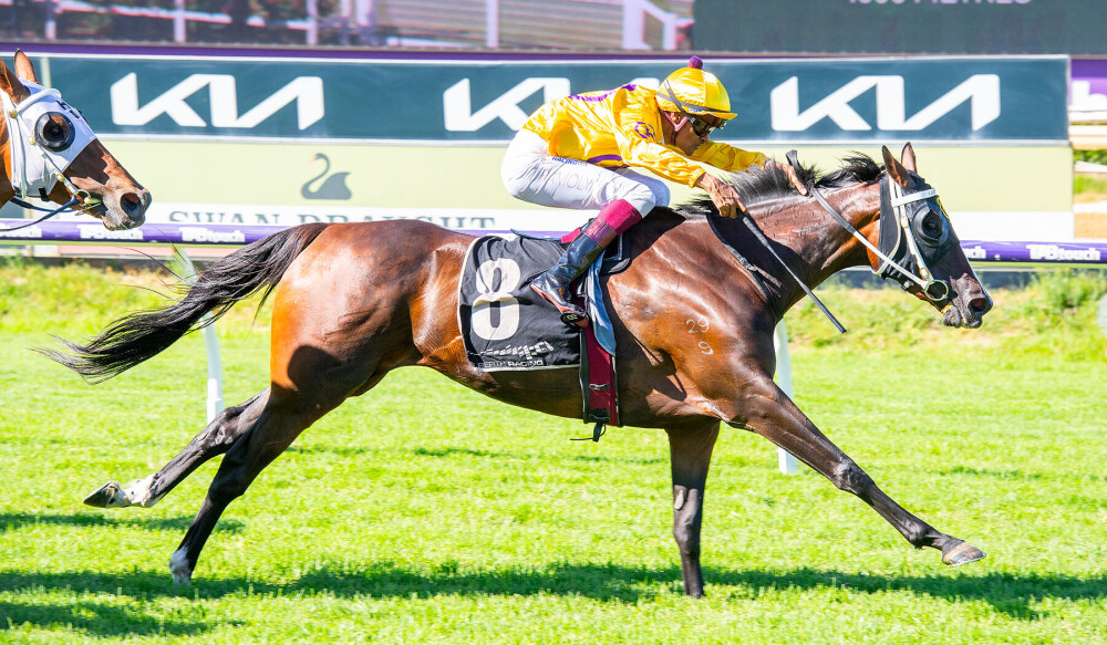 MM Sale: Mistress on a roll for Yarradale