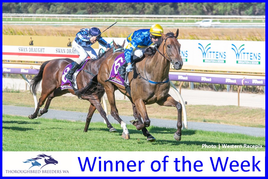 Desert Waves – TBWA Winner of the Week