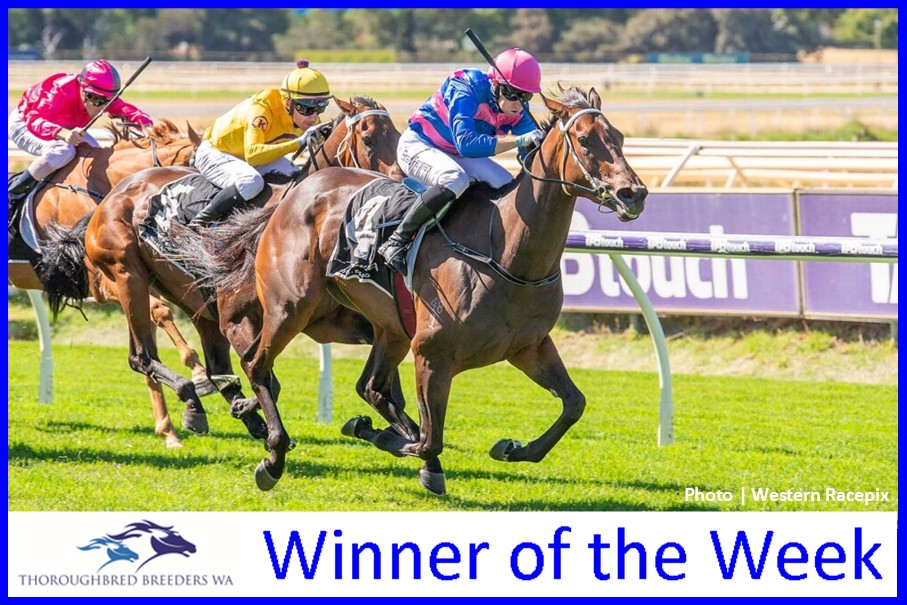 Kimberley Rose – TBWA Winner of the Week