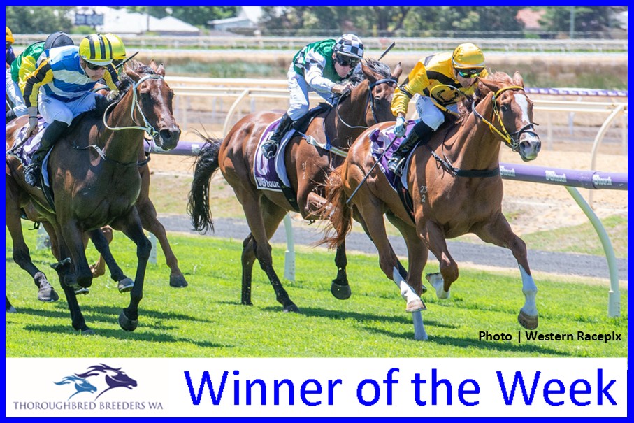 Pure Mac – TBWA Winner of the Week