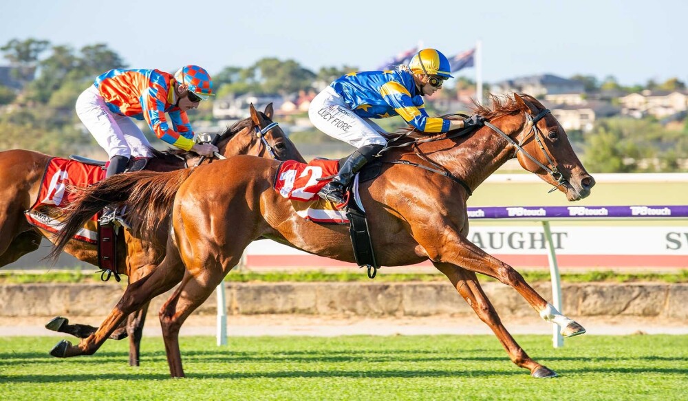 MM Sale: Western Lady wins for Forest View