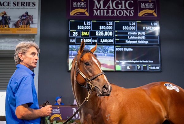 Zoustar filly tops Day 1 Perth Magic Millions