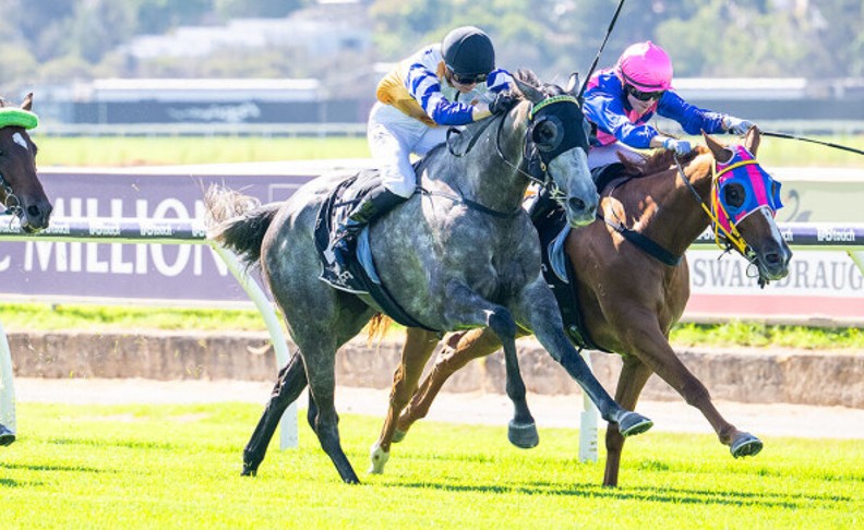 Disco Miss double for Alwyn Park