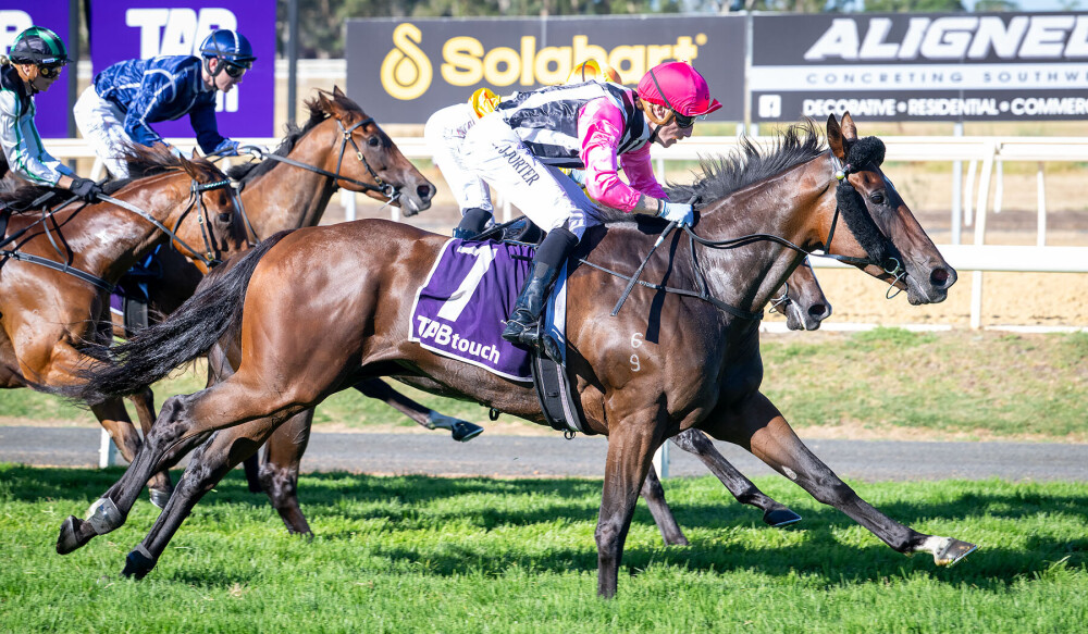 Bonjoy brings bona fides to Bunbury Stakes
