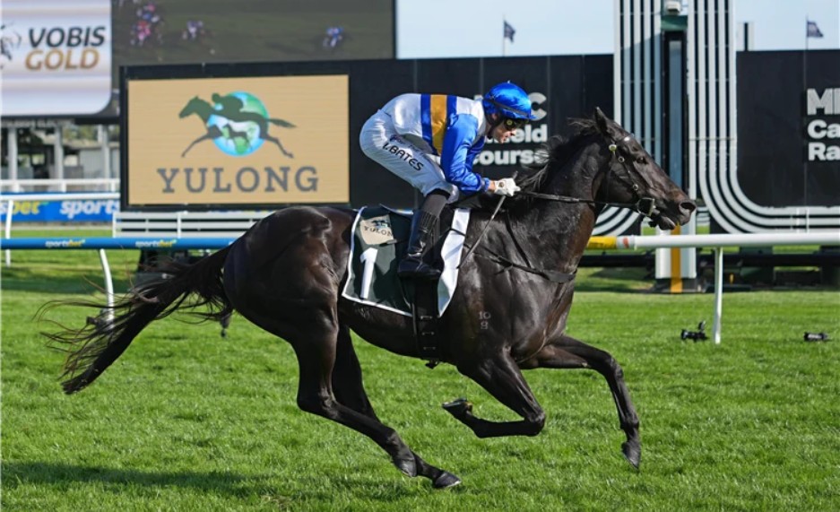 Jigsaw set for Trans-Tasman Group 1 Double