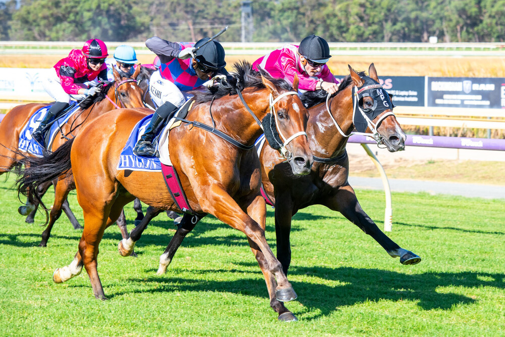 Gunn win for Baby Boomers