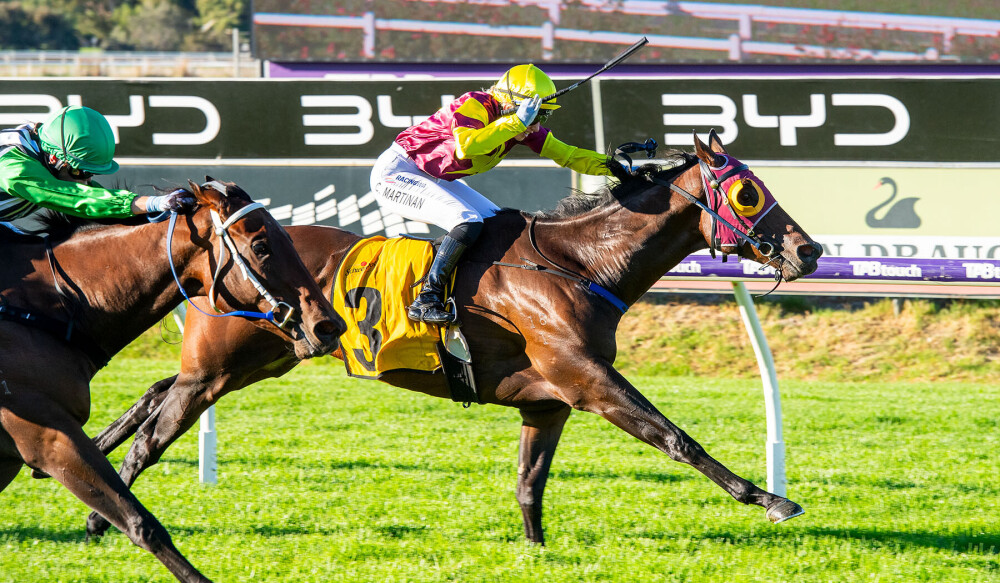 Winning week for Yarradale Soldiers