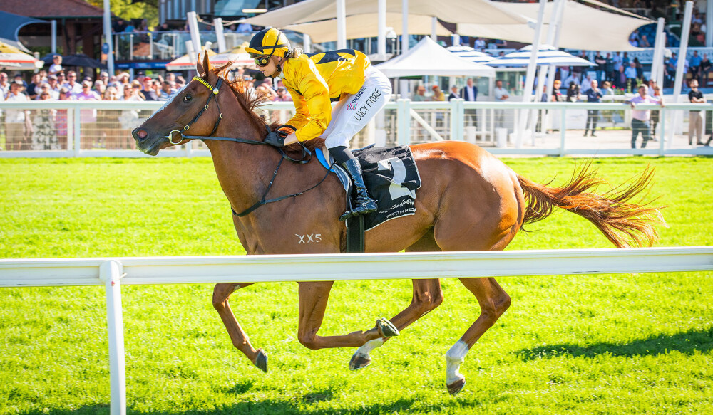 Oakland Park Pirate lands Lex Piper Stakes