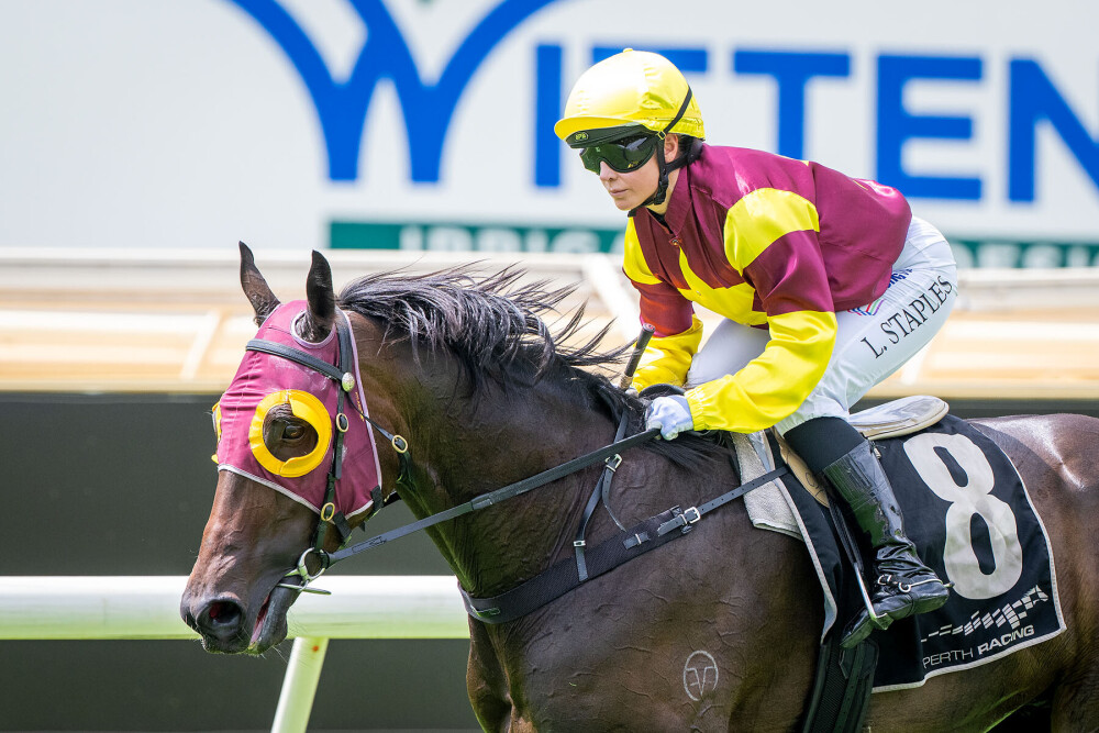 Best days ahead of Bluff