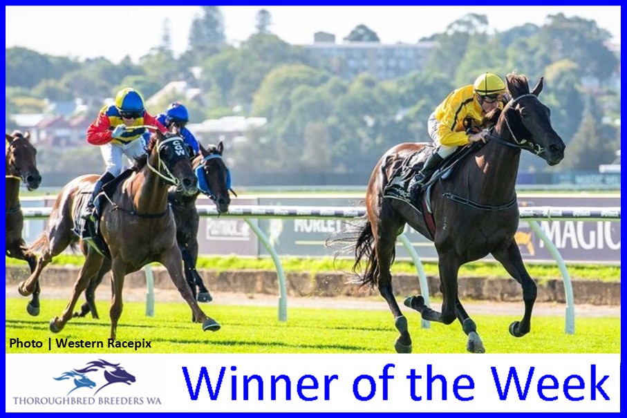 Sentimental Legend – TBWA Winner of the Week