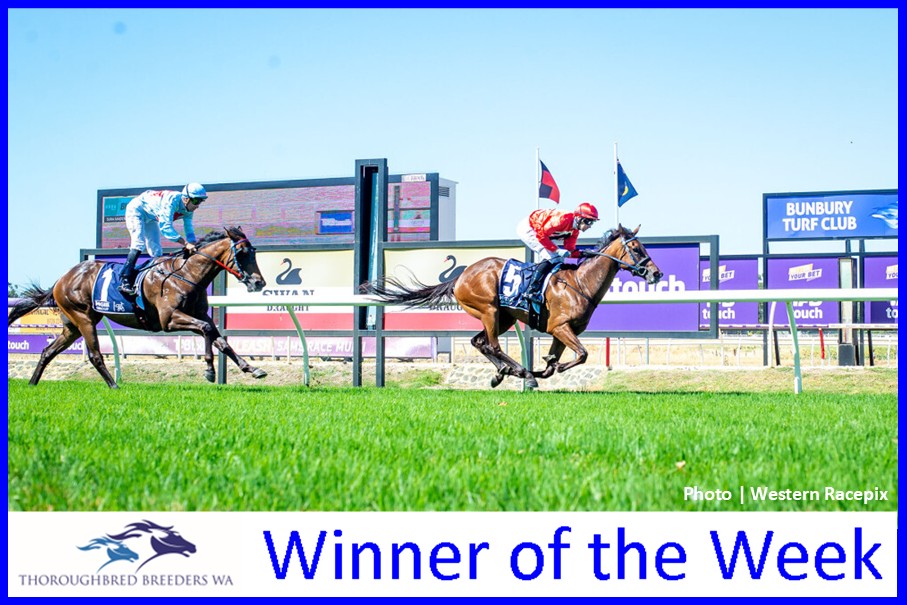 So Much Serenity – TBWA Winner of the Week