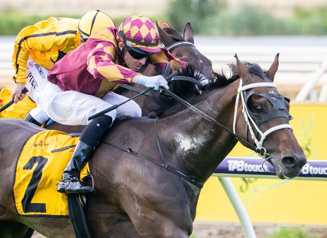 Willaview Park Flyer firms for G2 WA Derby