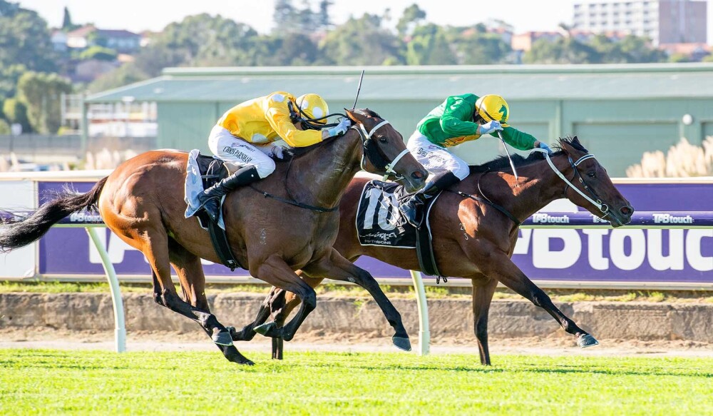 Dixie delivers for Shooting To Win