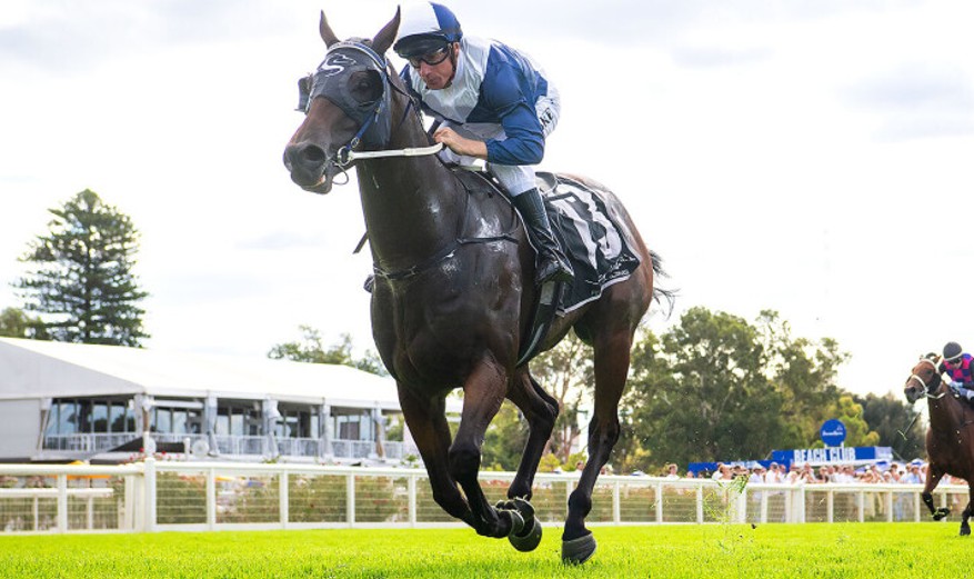 Hot favourite Horcrux sizzles for Rommel