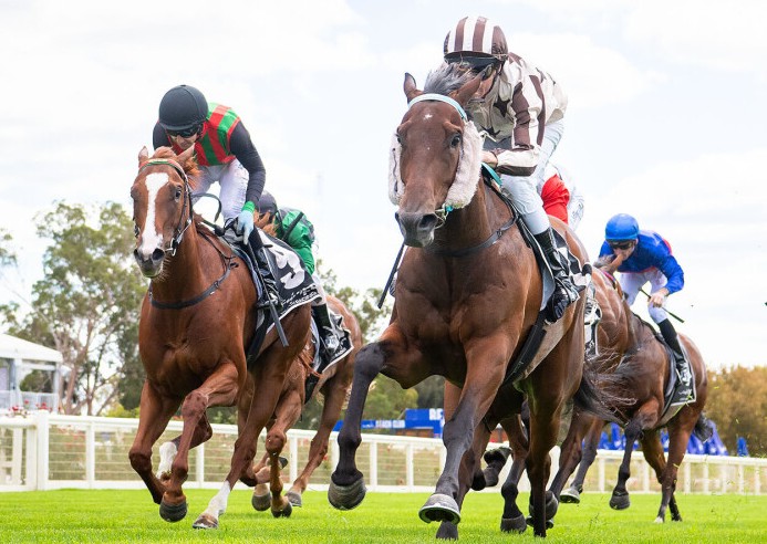 Right result for Ridgeport Roaming