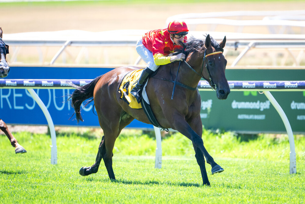 Wonderful J Farms graduate set for G3 WA Oaks