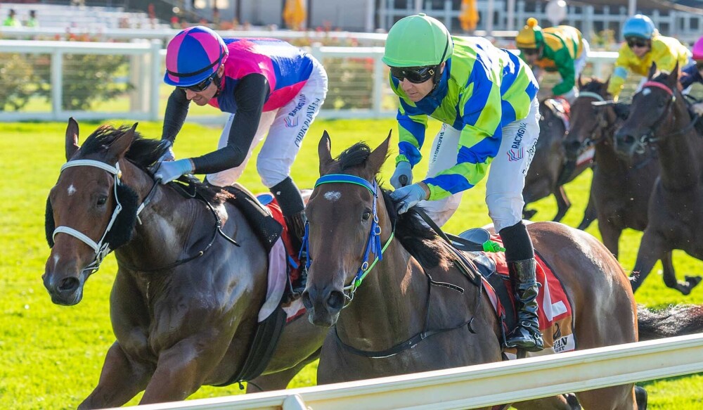 Karrakatta beckons Yarradale Belle