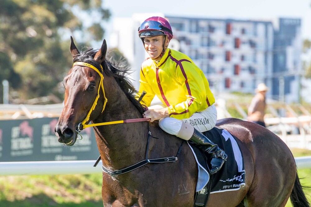 Consignment connection a winner for Parnham