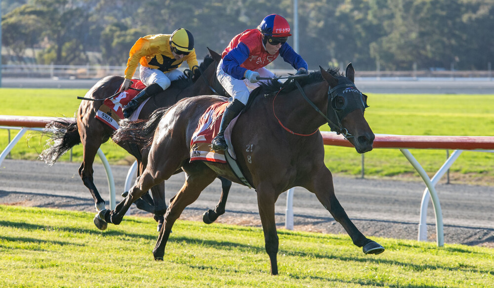 Winning Lineup for Awesome Rock