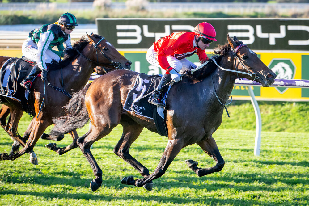 Rissoles races away with Sheila Gwynne Classic