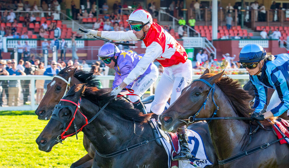 Rope Them In reels in Roma Cup