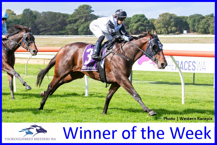 Perfect Sister – TBWA Winner of the Week