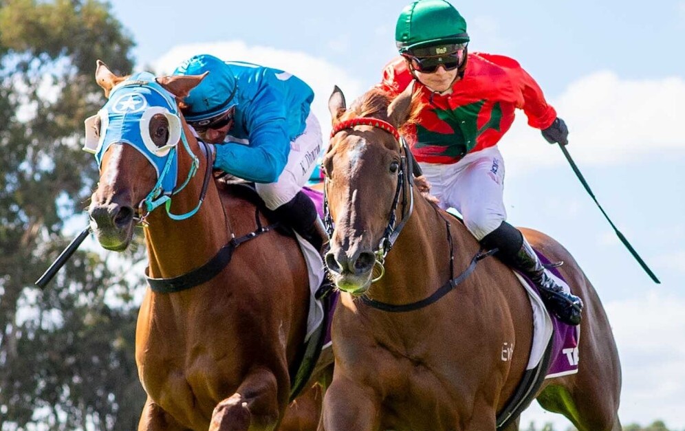 Life’s a beach for Jedibeel and Bondi