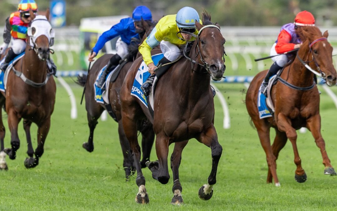 Super Smink surge wins G3 Irwin Stakes