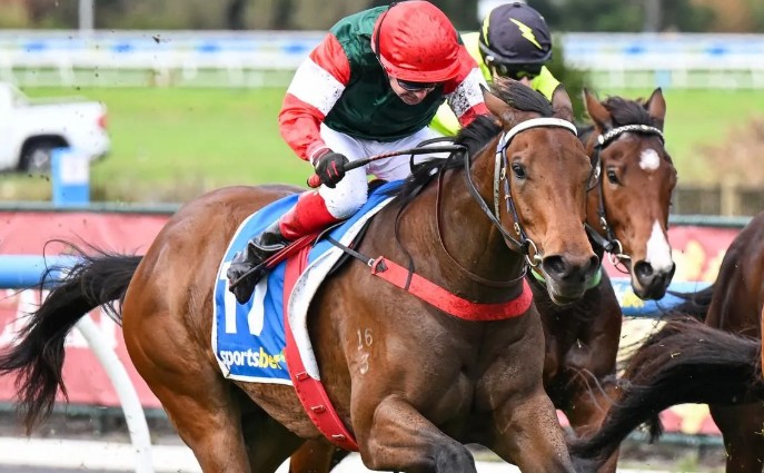 Amelia Park filly a class above at Caulfield