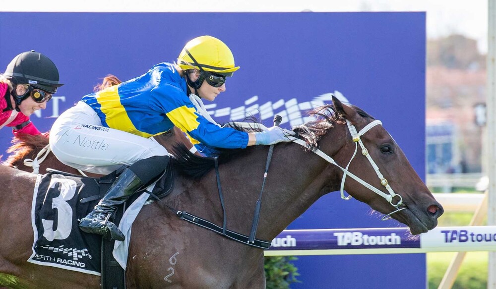 Hot filly flying for Cape Falls