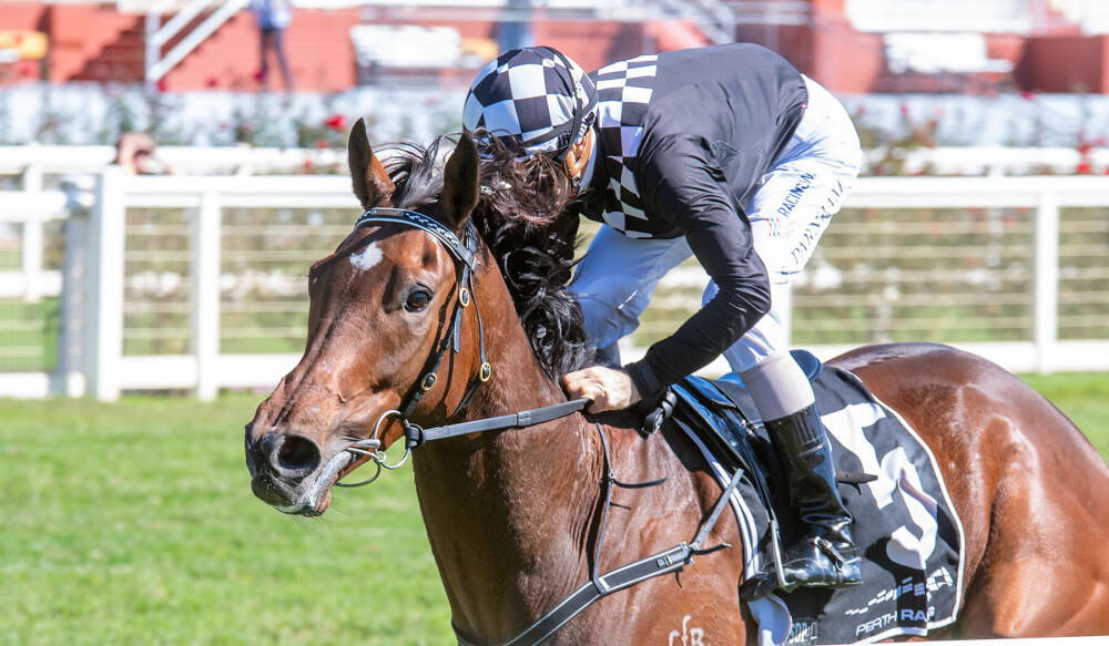 Emerging stayer Rocks Rogan Josh Stakes